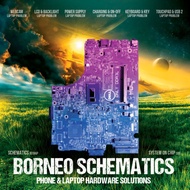 Schematic Borneo Double Activation 3 Months