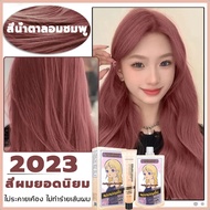 ใใหม่มาแรง2023 Hair Color ️️❤  สีย้อมผมสีแดง  ีไวน์แดง ีน้ำตาลอมชมพู ครีมย้อมสีผม ไม่ทำร้ายผม สีย้อม