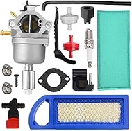 Qiuwanzia 799727 Carburetor for Briggs and Stratton 698620 794572 14HP 15HP 16HP 17HP 17.5 HP 18HP 4