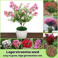 Color Mixing Lagerstroemia Seeds for Planting (200 Seeds/bag) Ornamental Flower Seeds Garden Flower 