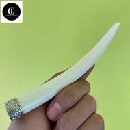 pipa once iga duyung motif oval ring asli NZ 51