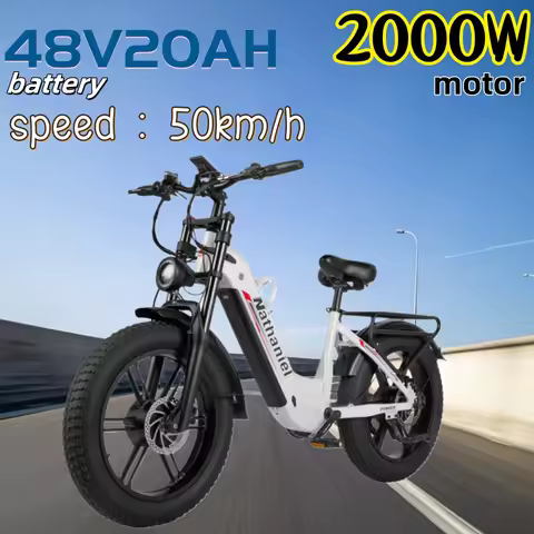 Nathaniel SYR08 Electric bicycle 2000W motor 48V20Ah battery 20 inch tire electric bike hydraulic br