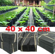 Polybag Ukuran 40x40 isi 1 kg