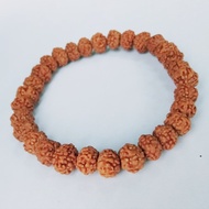 Gelang Genitri Jenitri Rudraksha Original - 7 mm