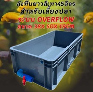 ลังพลาสติกแบบยาวทึบสีเทา ลังเปล่า ระบบover flow สำหรับเลี้ยงปลา อ่างเลี้ยงปลา กะบะเลี้ยงปลา อ่างปลาบ