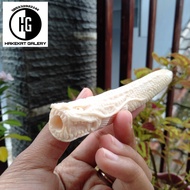 pipa once rokok tulang iga duyung ukir naga D869