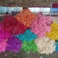 Gypsophila Dried Flower Bouquet Large Immortal Flower Gypsophila Wholesale Wedding Simulation Bouque