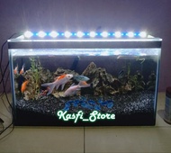 Lampu LED 50cm Biru Putih terang+Kabel USB lampu aquarium Channa lampu LED 5 Volt kabel USB