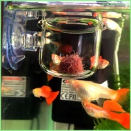 RAN 2 Packs Aquarium Live Red Worm Feeder Shrimp Fish Food Feeding Cups Small Clear Acrylic Cup with Suction Cup