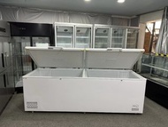 🌟冰櫃🌟急凍櫃商用冷凍冷藏Freezer