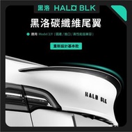Model Y HALO BLK Performance 碳纖尾翼 Carbon Fiber Spoiler 95%New