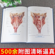 Human Anatomy Color Atlas Version 2 Full Color Hardcover Guo Guangwen Ergonomic Atlas Teaching Book 