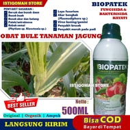 Obat Bule Pada Tanaman Jagung BIOPATEK 500ML Fungisida &amp; Bakterisida Hayati Obat Anti Jamur Pada Tanaman Jagung - Pupuk Semprot Anti Busuk Pada Tanaman Jagung - Obat Layu Pada Tanaman Jagung - Obat Semprot Bercak dan Busuk Daun Tanaman Jagung Ampuh