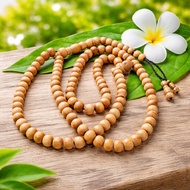 Tasbih Teras Bidara Sird Arab (100% Asli)