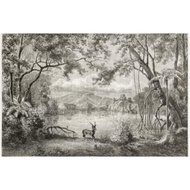 Decorative background images, decorative background images, shutterstock images, landscape images, w