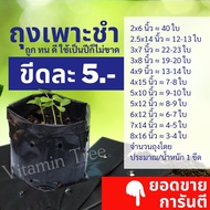 ถุงเพาะชำ ขีดละ 5บาท เนื้อมัน เหนียว หนา ถูกที่สุด ถุงชำ ถุงดำเจาะรู ถุงปลูกต้นไม้ คุณภาพดี ราคาถูก มีทุกขนาด 100 กรัม