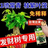 【花肥】【四季常青】發財樹肥料 專用肥 黃葉急救爛根腐皮爛身通用型營養液
