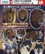 TAKARA立體圖鑑百科事典 狩獵動物 頭像標本3代 大全套8款含隱藏版2款 代理 扭蛋 轉蛋 磁鐵