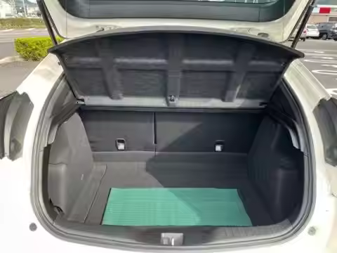 Without Spoiler 2PCS Back Door Stay for 2015-2017 Honda Civic Type R FK2 Rear Tailgate Boot Gas Spri