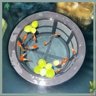 TAMAKO Aquarium Filters, Reusable Large Capacity Fish Fry Cage,  Floating Fish Fry Isolation Box For