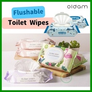 KOREA 🇰🇷 OLDAM Flushable Kids Toilet Wipes / Flushable Feminine Wipes / Bidet Wet Wipe