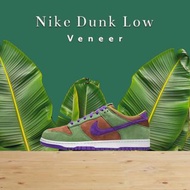 Nike Dunk Low Veneer 棕綠 醜小鴨  男款休閒鞋 DA1469-200