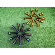 VRX Screw Size 12 Titanium Gold M835