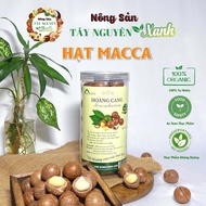 Dak Lak macadamia nuts - Green Central Highlands cracked macadamia nuts - Medium size macadamia nuts