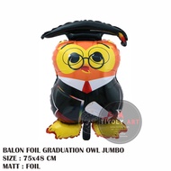 JUMBO OWL Graduation Foil Balloon Owl Graduation Balloon/