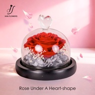 【Local Seller】Valentine Gift Preserved Rose Flower Glass Dome for Birthday, Anniversary Gift for Her