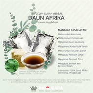 * DAUN AFRIKA TEH CELUP CURAH HERBAL 10 BKS ASAM URAT DIABETES TIFUS