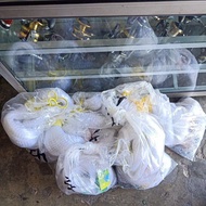 ✨✨✨WHITE JALA FULL SET 1/2INCHES 10FEET&12FEET✨✨✨