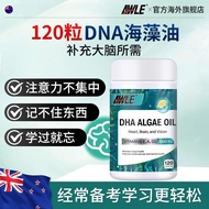 New Zealand Imported DHA Algae Oil Promotes Brain Development Improves Concentration Junior High Sch