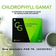 Chlorophyll Gamat klorofil Teripang