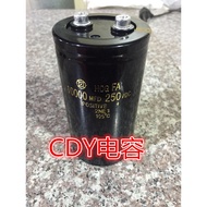 Aluminum Electrolytic Capacitor 250VDC10000MFD Filter Capacitor Wire Cutting Capacitor 200V1,000UF 1