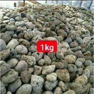 Pumice stone gombong stone pumice stone Pond And Aquarium koi Fish Weight 1kg