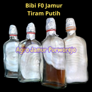 Bibit F0 Jamur Tiram Putih Murah Berkuwalitas