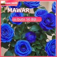 repack fress benih Benih Bibit Biji Bunga Mawar Import Holland (Isi 50 Butir)/benih bunga warna warn