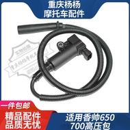 Suitable for Motorcycle High Gold GK500 Chanel 700/900 Morui 800 Ignition Coil High Voltage Bag Asse