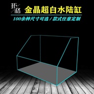 Ultra White Amphibious Fish Tank Plant Landscaping Tank Micro Landscape Oblique Mouth Landscaping Ta