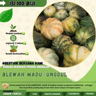 100 biji-BENIH BLEWAH MADU|BIJI BLEWAH MANIS UNGGUL