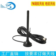 TV antenna/Household DTMB TV antenna DVB-T/T2 FM FM radio antenna car antenna suction cup magnets