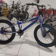20-inch BMX bikes, Maximus, VELION and CENTRUM brands, jumbo 3.0 tires, front and rear disc brakes