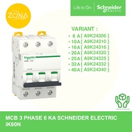 MCB SCHNEIDER iK60N 6kA 3 PHASE 3P 6A 10A 16A 20A 25A 32A 40A A9K24306 A9K24310 A9K24316 A9K24320 A9