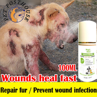 Wound Spray for Dogs Cats Antifungal and Antibacterial
