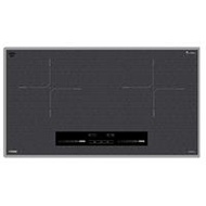 Bếp từ Fandi FD-999 Plus