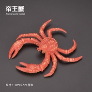 Childrens Artificial Sea Bottom Toy Model Crab Blue Crab Portunid Hermit Crab Red Crab Coconut Crab