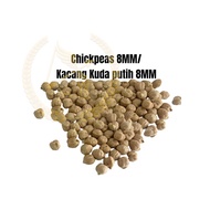 1kg Chickpeas Raw 8MM /Kacang Kuda putih Mentah 8MM