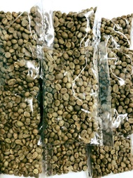 Unroasted Raw Kapeng Barako 1 kilo Beans