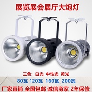LED120W Exhibition Light Exhibition Exhibition Hall Cannon Light High Power Car Exhibition Hall Gold